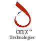 Semiconductor and Laser Company Ceyx Technologies Raised $2M VC Round with SEED Help